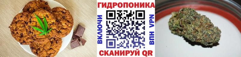 Купить где  Белокуриха  Cannafood конопля 