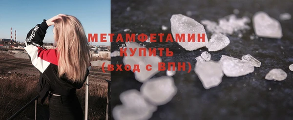 индика Каменка