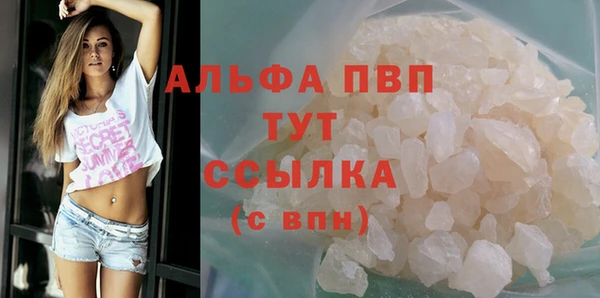 индика Каменка