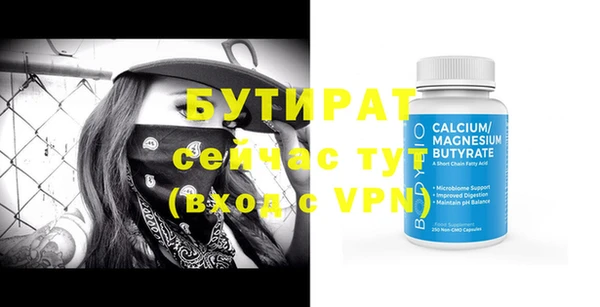 индика Каменка