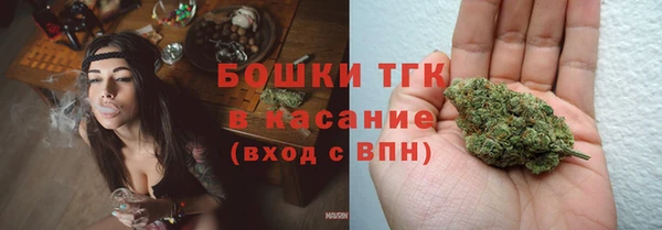 индика Каменка