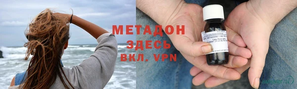 индика Каменка