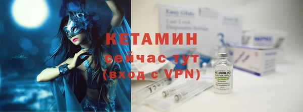 индика Каменка