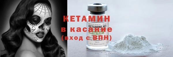индика Каменка