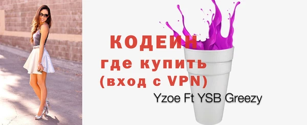 индика Каменка