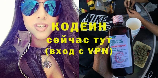 индика Каменка