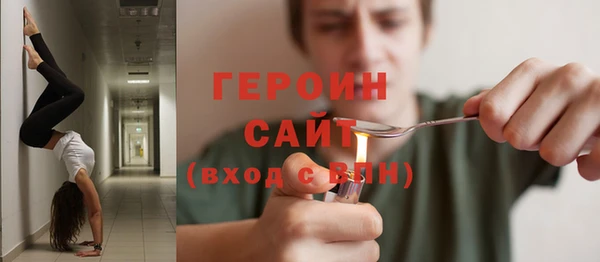 индика Каменка