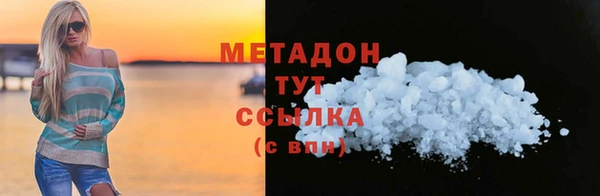 индика Каменка