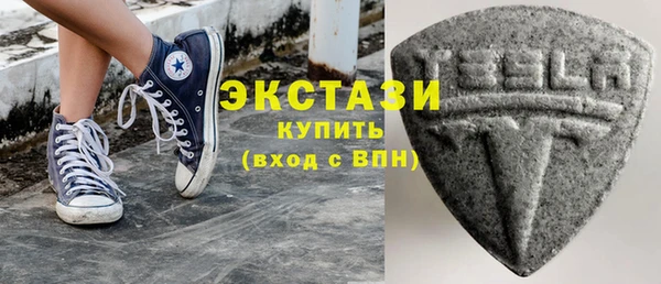 индика Каменка