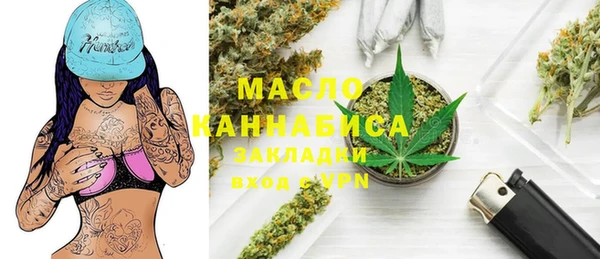 индика Каменка