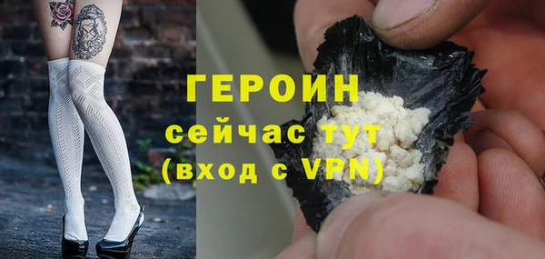 индика Каменка