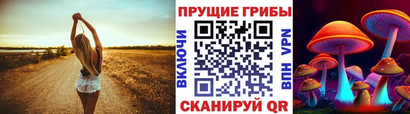 Галлюциногенные грибы MAGIC MUSHROOMS  Купить  Белокуриха 